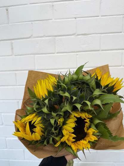 Sunflower Stems