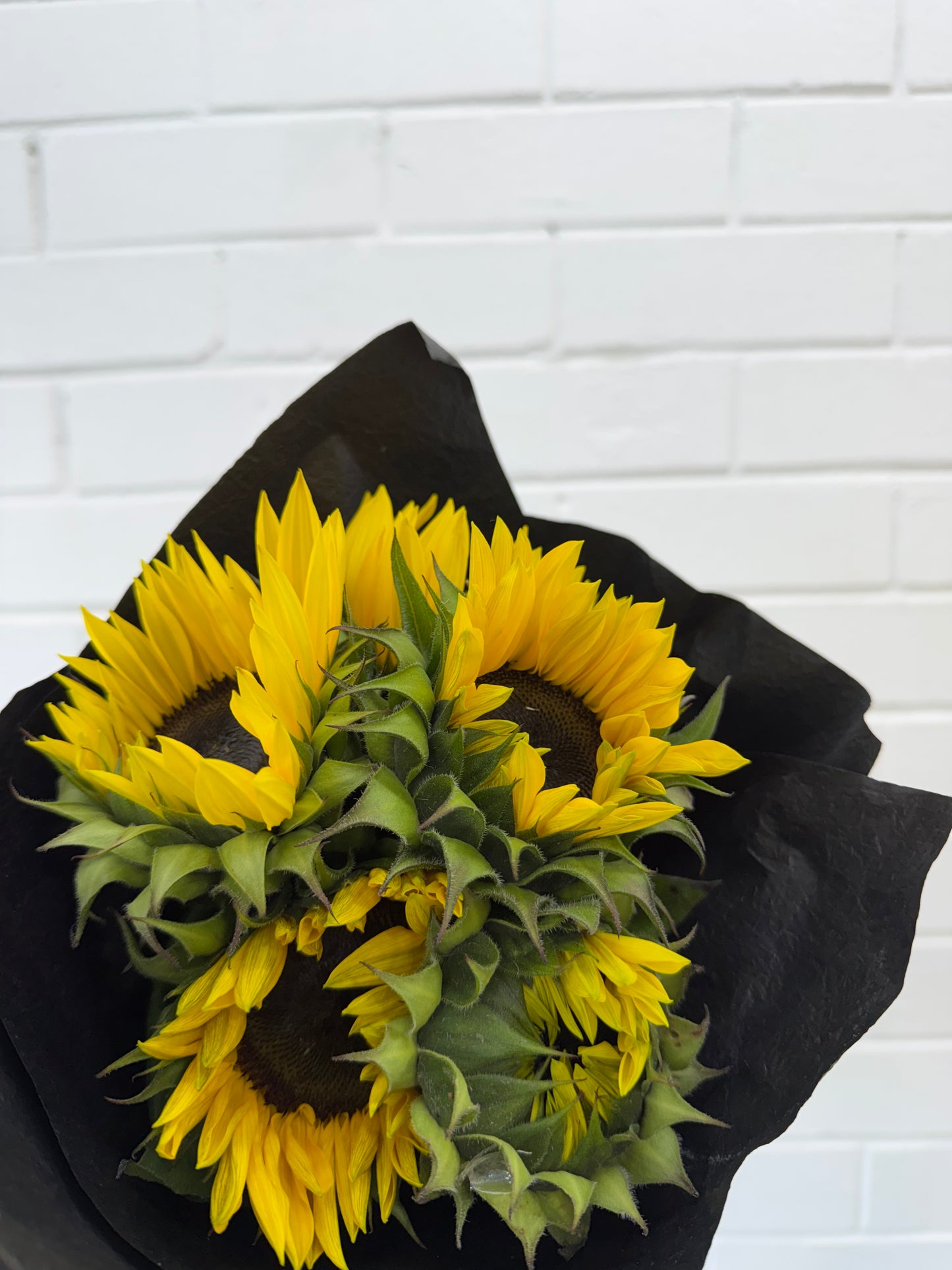 Sunflower Stems