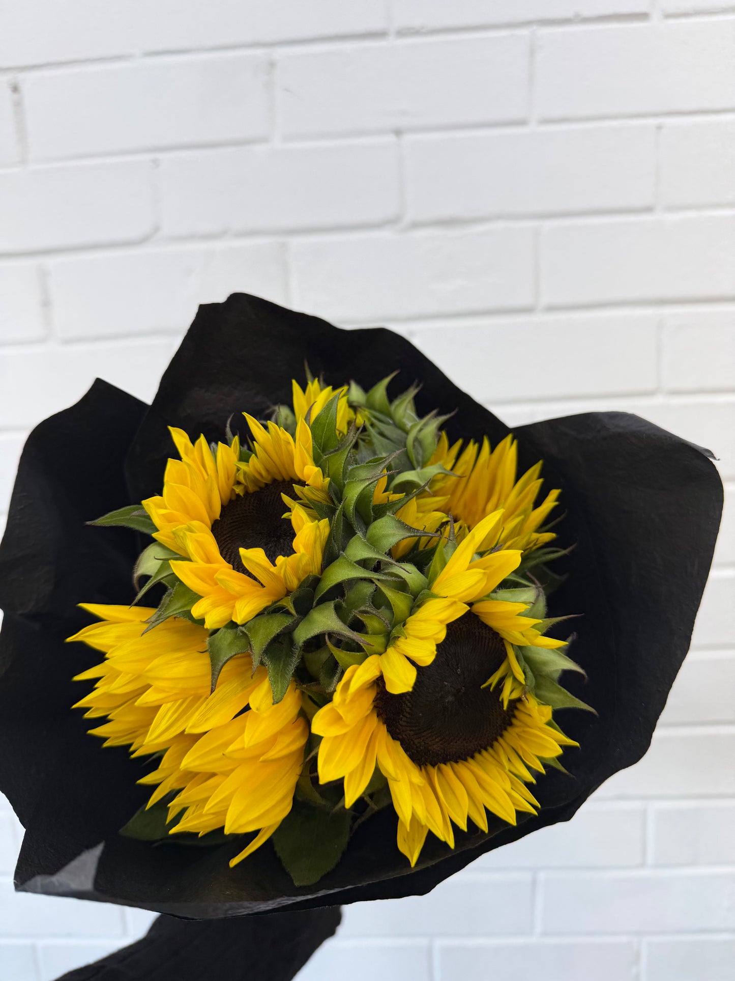 Sunflower Stems