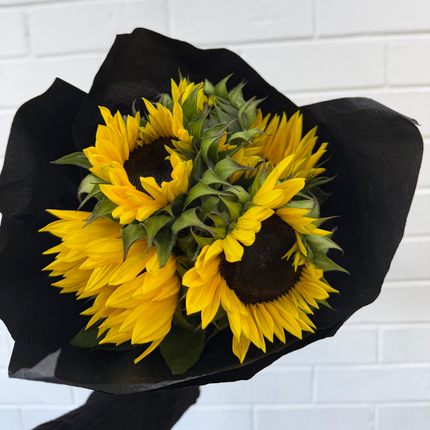 Sunflower Stems